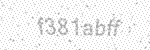 Validation Image
